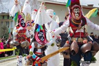 НЧ Освобожедние 1884 с. Шейново