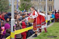 НЧ Освобожедние 1884 с. Шейново