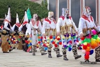 НЧ Освобожедние 1884 с. Шейново