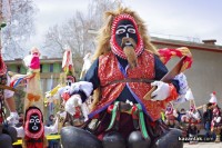 НЧ Освобожедние 1884 с. Шейново