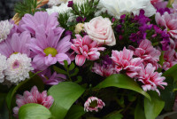 Време е за кралски изкушения в клуб Хармония СПА в гр.Казанлък