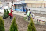 Озеленяването в Казанлък продължава с бързи темпове / Новини от Казанлък
