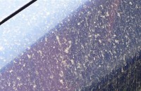 Пустинен пясък се изсипа в Казанлък / Новини от Казанлък