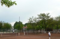 Тенис клуб “Роза“ организира турнир в Казанлък / Спортни новини от Казанлък