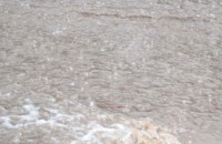 Вчерашният дъжд в Казанлък е бил едва 10,5 л./кв.м. / Новини от Казанлък