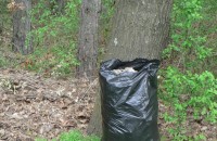 30 пункта отваря община Казанлък за кампанията по почистване на 12 май / Новини от Казанлък