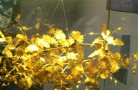 Казанлък също се включва Европейската нощ на музеите / Новини от Казанлък