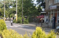 Нова зеленина по Батенберг за Празника на Розата / Новини от Казанлък