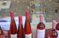 Вина от цяла България участват във “Фестивала на Виното Розе“ / Новини от Казанлък