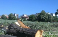  / Новини от Казанлък