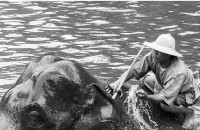 Изложба със снимки от Тайланд се открива днес в Казанлък / Новини от Казанлък