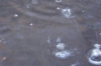 Дъждът донесе прохлада за казанлъчани / Новини от Казанлък