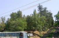 Тюлбето в съботния ден: фоторепортаж / Новини от Казанлък