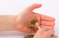 Още двама местни младежи задържани за „трева” / Новини от Казанлък