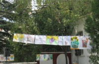 Уникална изложба „Дивата природа в снимки и рисунки” / Новини от Казанлък