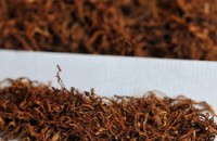 Конфискуваха тютюн и самоделни цигари / Новини от Казанлък