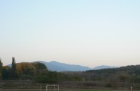 Цокев атакува Гинес по лъжливи рекорди / Новини от Казанлък