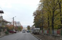 Продължава изсичането на липи по улица “Стамболийски“ / Новини от Казанлък