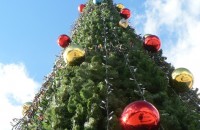  Снимки: Казанлък вече има Коледна елха / Новини от Казанлък