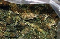 Казанлъчанин заловен с половин килограм марихуана / Новини от Казанлък