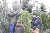 Младежи украсиха елха в центъра на Казанлък / Новини от Казанлък