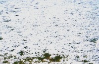 Казанлък вече има снежна покривка / Новини от Казанлък