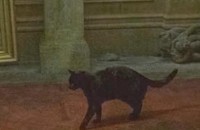 Дежа вю по казанлъшки в Толияти / Новини от Казанлък