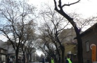 Отстраняват опасни клони / Новини от Казанлък