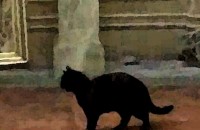 Дежа вю по казанлъшки 2 / Новини от Казанлък