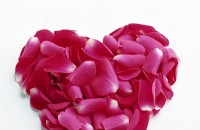 Казанлъчани ще си спестят валентинките днес / Новини от Казанлък