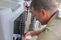  / Новини от Казанлък