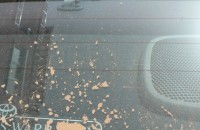 Казанлък отново се опесъчи от Сахара / Новини от Казанлък