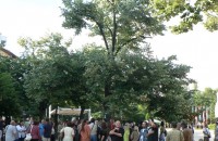 Протест в Казанлък тази вечер / Новини от Казанлък