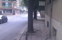 Вятърът  в Казанлък достигна скорост от 60 км/ч / Новини от Казанлък