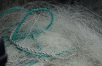  Заловиха бракониери докато разполагали мрежите си / Новини от Казанлък