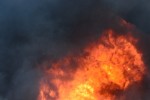  5 декара треви са изгорели при пожара до Арсенал в събота / Новини от Казанлък