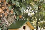 Община Казанлък подкрепя инициативата „Да направим дом за птиците“ / Новини от Казанлък