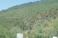 Тежкотоварни камиони преминават незаконно през Шипка ? / Новини от Казанлък