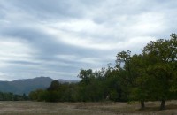 Казанлъчанин стреля по роми с ловна пушка / Новини от Казанлък