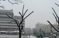 Видео: Казанлък се заснежи / Новини от Казанлък