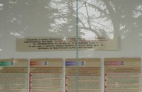 Кметът Стоянова е на среща в Министерството на финансите за отхвърлените проекти / Новини от Казанлък