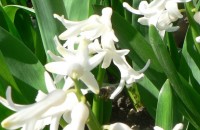 В Казанлък отново се радвахме на температура от над 20 градуса / Новини от Казанлък