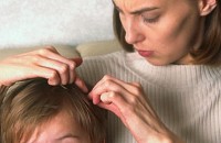 Въшки в училища и детски градини в Казанлък / Новини от Казанлък