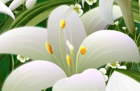 Кметът на община Казанлък Галина Стоянова поздрави здравните работници / Новини от Казанлък