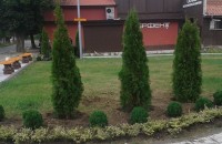 От днес Крън посреща жители и гости с нова градинка на главната улица / Новини от Казанлък