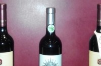 Био вина предлага Ню Йорк Пъб  / Новини от Казанлък