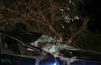 Младеж се заби в дърво с БМВ оставено за ремонт в казанлъшки сервиз / Новини от Казанлък