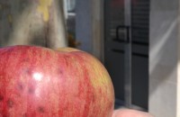 Ябълка рекордьор отгледа общински служител / Новини от Казанлък