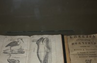 ИМ „Искра“ съхранява един от малкото екземпляри на първото издание на „Рибния буквар“ / Новини от Казанлък