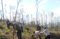 Над 400 фиданки засадиха казанлъшките социалисти / Новини от Казанлък